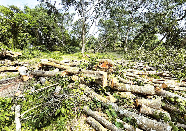 Swift Action by Forest Minister Jayanta Mallabaruah Against Alleged Corruption in Hajo Forest Range