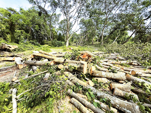 Swift Action by Forest Minister Jayanta Mallabaruah Against Alleged Corruption in Hajo Forest Range