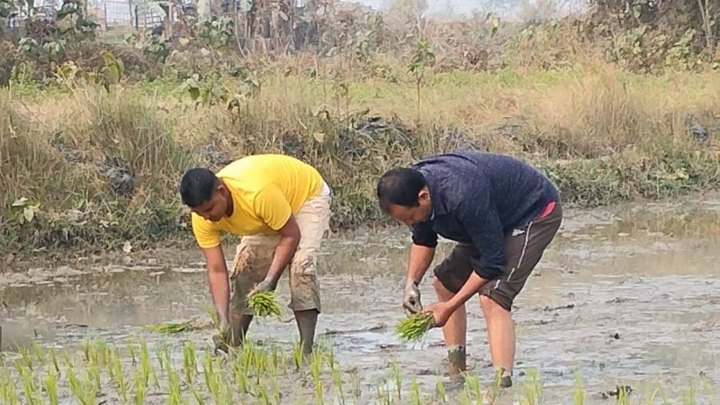 পথাৰত নামিল বিধায়ক মেহবুব মুক্তাৰ; সমষ্টিৰ লোকৰ সৈতে ভূঁই ৰুলে বিধায়কজনে