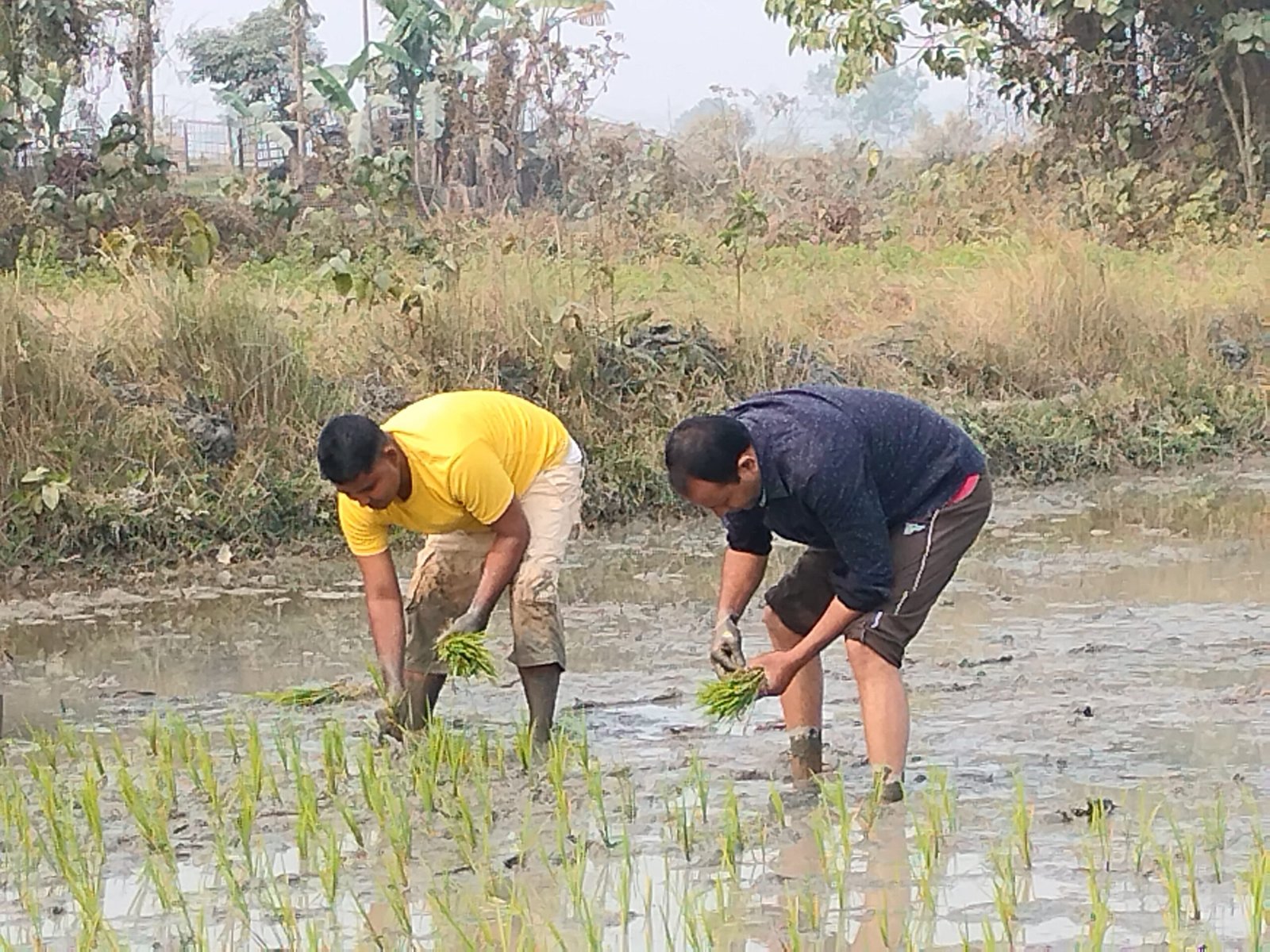 পথাৰত নামিল বিধায়ক মেহবুব মুক্তাৰ; সমষ্টিৰ লোকৰ সৈতে ভূঁই ৰুলে বিধায়কজনে