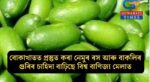 বোকাখাতত প্ৰস্তুত কৰা নেমুৰ ৰস আৰু বাকলিৰ গুৰিৰ চাহিদা বাঢ়িছে বিশ্ব বাণিজ্য মেলাত