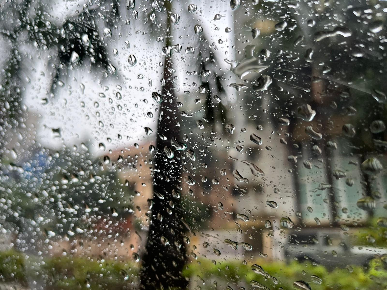 IMD Issues Heavy Rain and Thunderstorm Warning for Northeast India