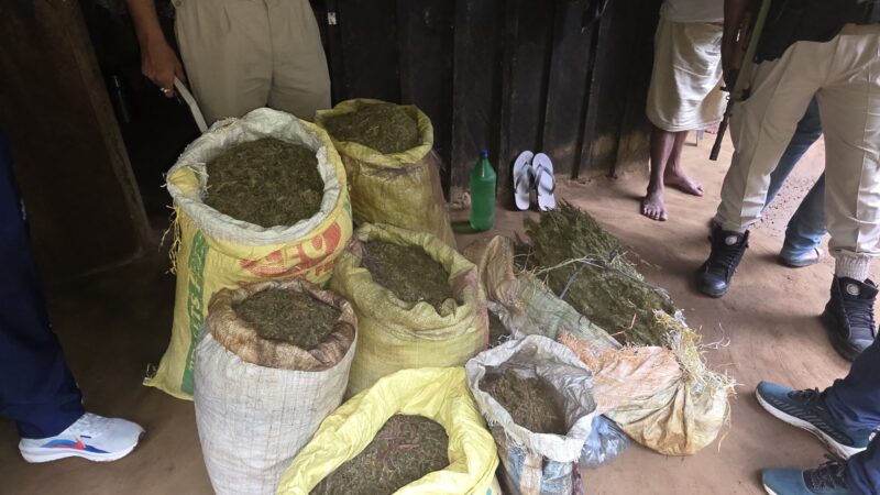 Around 42 Kg of Suspected Ganja Seized in Boko; One Arrested