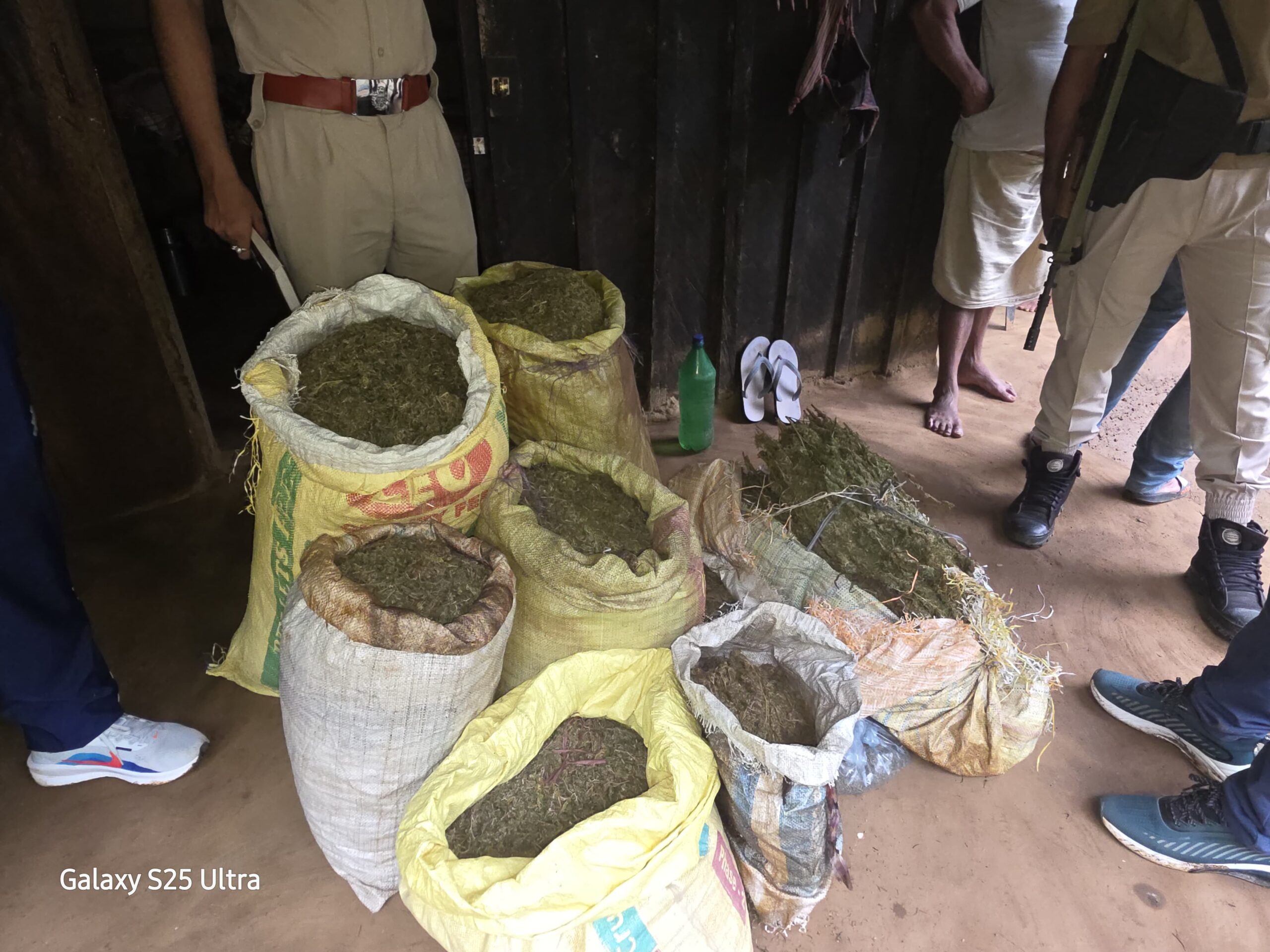 Around 42 Kg of Suspected Ganja Seized in Boko; One Arrested