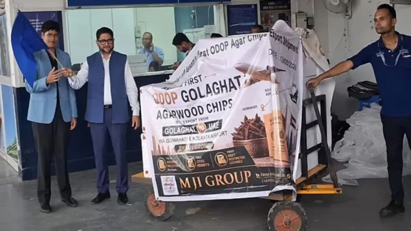 Assam exports first consignment of agarwood chips to Saudi Arabia, UAE