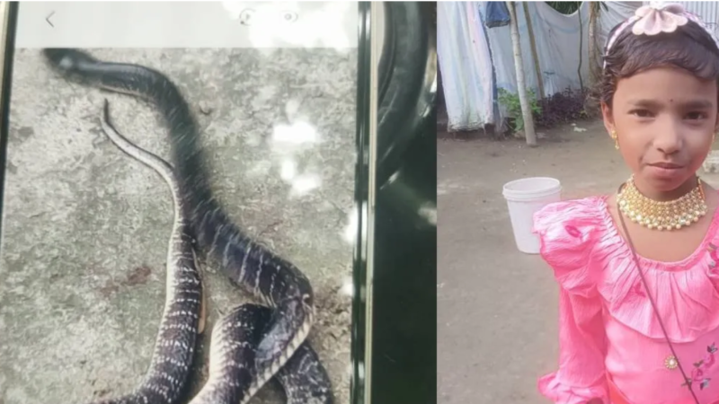Snakebite Death of 8-Year-Old Triggers Protests at Tamarhat Health Centre in Assam