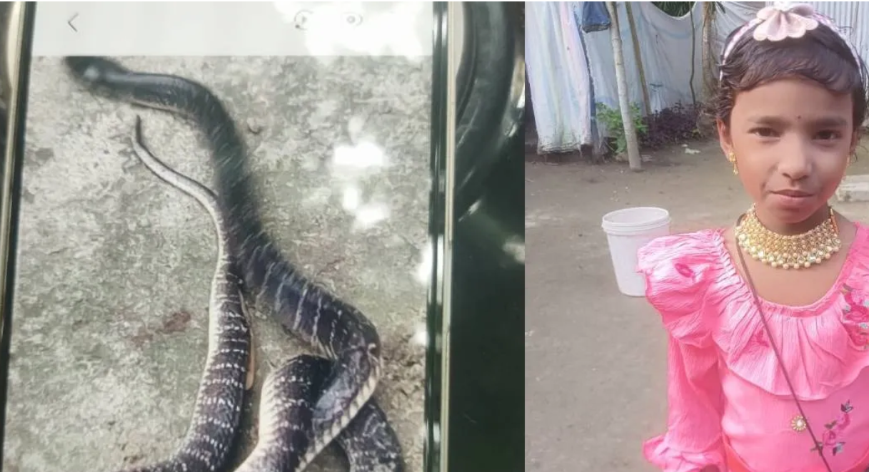 Snakebite Death of 8-Year-Old Triggers Protests at Tamarhat Health Centre in Assam