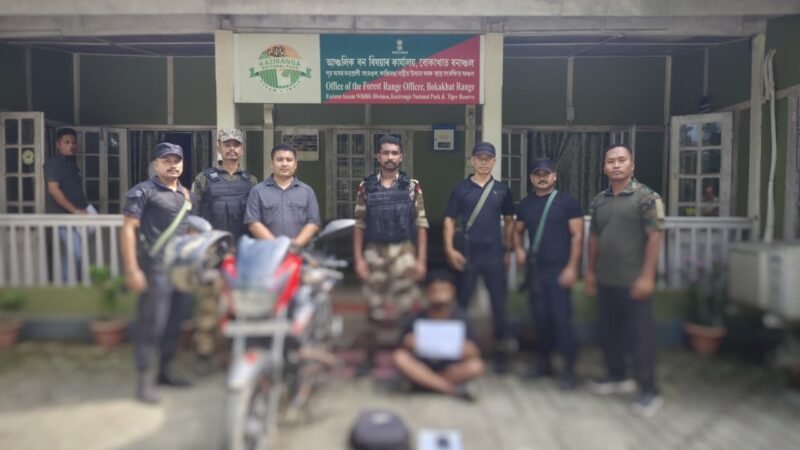 Assam Forest Officials Rescue Tokay Gecko, Arrest Man in Kaziranga Wildlife Trafficking Case